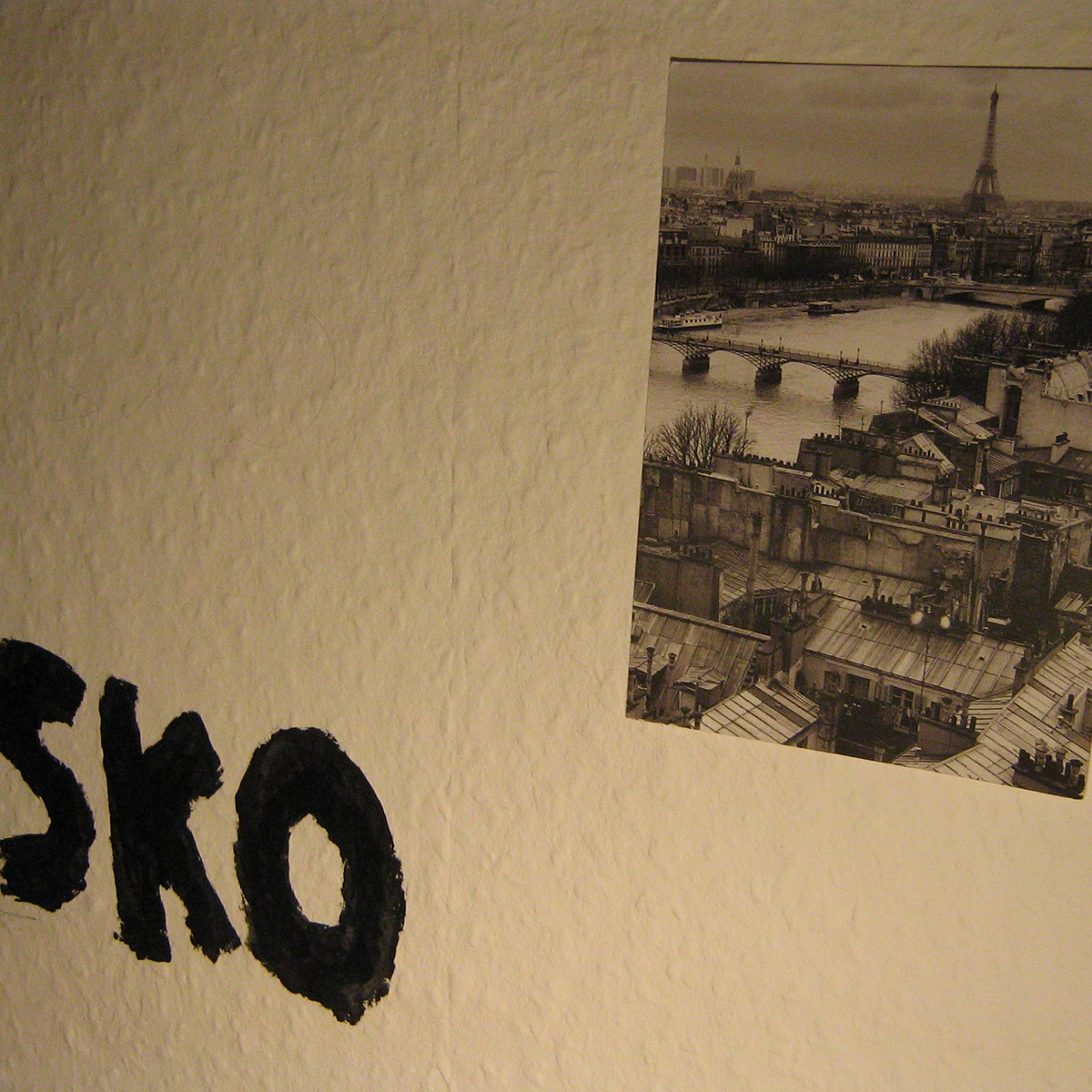 Disko DNA