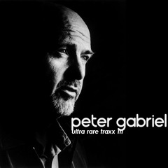 PETER GABRIEL;  Get Up Stand Up