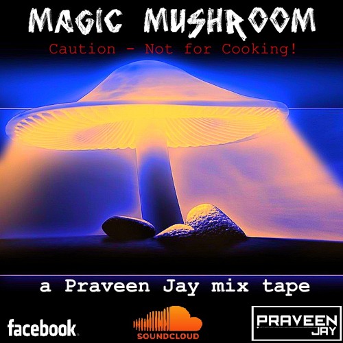 Magic Mushroom