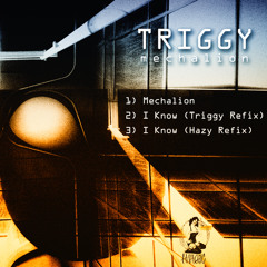 ANLR004 : Triggy