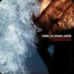 Terry Lee Brown Junior - Level Vibes (Blu Mar Ten remix) (2001)