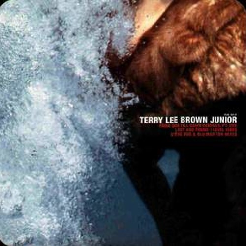 Terry Lee Brown Junior - Level Vibes (Blu Mar Ten remix) (2001)