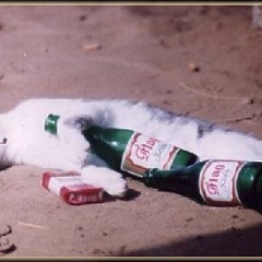 Bassick - Summertime (Me 'n My Girl)