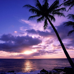 Joshua 'Starman' Fraustro - Like You / Hey There, Beautiful!