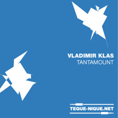 VLADIMIR KLAS - RUNNING AFTER THE TRAIN