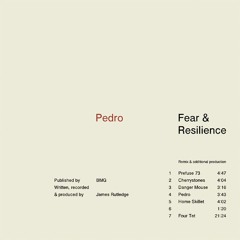 Pedro - Fear & Resilience (Prefuse 73 Remix)