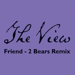 The View - Friend (The 2 Bears 'Pagan Morning' Remix)
