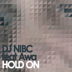 Dj Nibc feat AWA - Hold On (Don and Palm Remix)