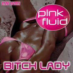 Pink Fluid - Bitch Lady (Crazibiza Remix) Beatport House Chart No.1
