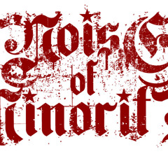 Noise Of Minority - Defiance