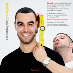 CD-Flaunt-it - Another level