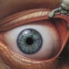 Insommia 2011 John Reyna