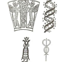 Hyperlink Instrumental