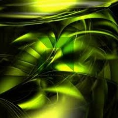 Jungle Daydreams - Maximus & Storm