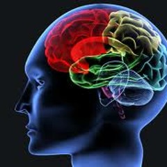 Heavy On The Brain - Maximus & Storm Ft: Tempo O'Neil