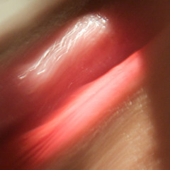 Marc Houle - Licking Skin | Minus | 2009