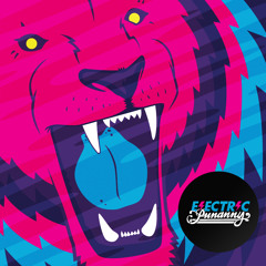 ELECTRIC PUNANNY MIXTAPE VOL. 1 (Mixed by MeLo-X + Jasmine Solano)