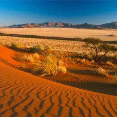 Lorenzo Natal dj  - Tribal/tech house session 2010 2011