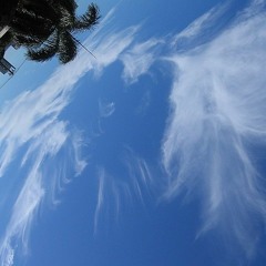 ShootMeDownFREE FT. KANASI