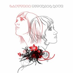 Ladytron - Destroy Everything You Touch [2005]