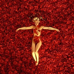 Thomas Newman - American Beauty (Dubstep Remix)