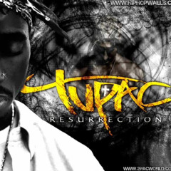 Pac=Sun(Friday Mold)