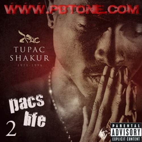 07. 2Pac - Thats What Niggas Do (ft. Lil Wayne)