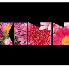 Nas & Damian Marley - As We Enter (Skinnz RMX)