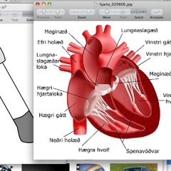 Enfile ton aiguille, couturière gentille, le temps passera