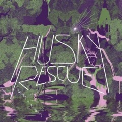 HUSKY RESCUE - FAST LANE (2 BIT THUGS REMIX) OUT NOW!