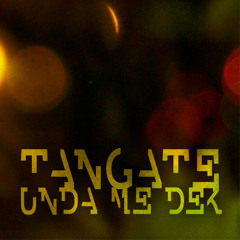 tanGate - Unda Me Dek (Barrington Levy VS. Krafty Kuts)