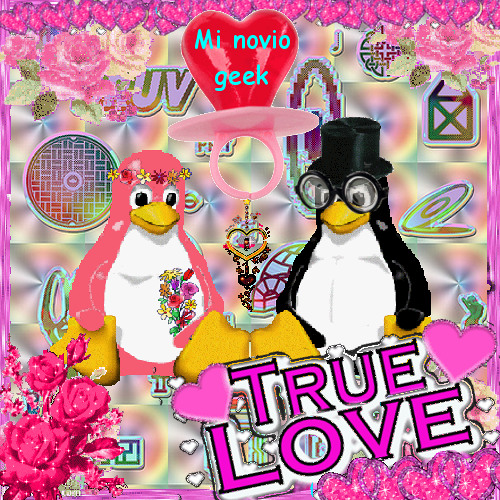 Mi Novio Geek