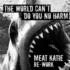 D.I.M Vs Peace Division 'The World Can't Do You No Harm' -Meat Katie RE-Work-Free Download.
