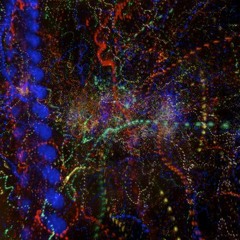 If Stravinsky Played Videogames (Rite Of Spring Electro Re-Instrumentation)