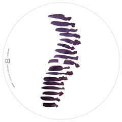 Olooloo - Moquette&Gaiser RMX
