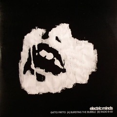 Gatto Fritto--invisible college