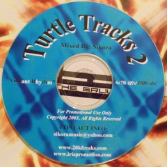 Turtle Tracks 2  Vibrant Rhythm