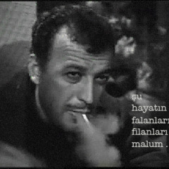 su hayatin falanlari filanlari malum
