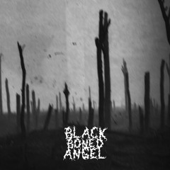 BLACK BONED ANGEL 'Creeping Barrage' (Verdun)