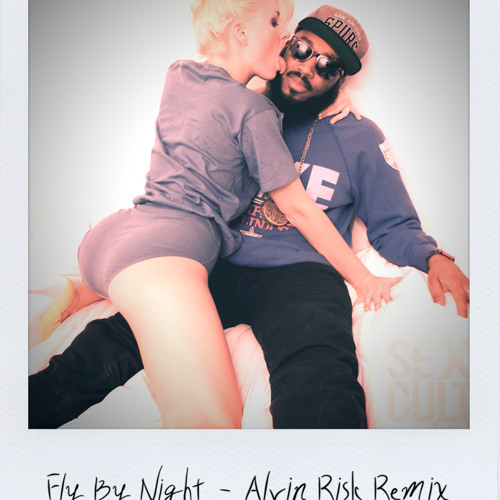 Cerebral Vortex- Fly By Night (Alvin Risk Remix)