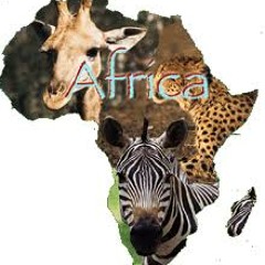 I Wanna Go Back Home