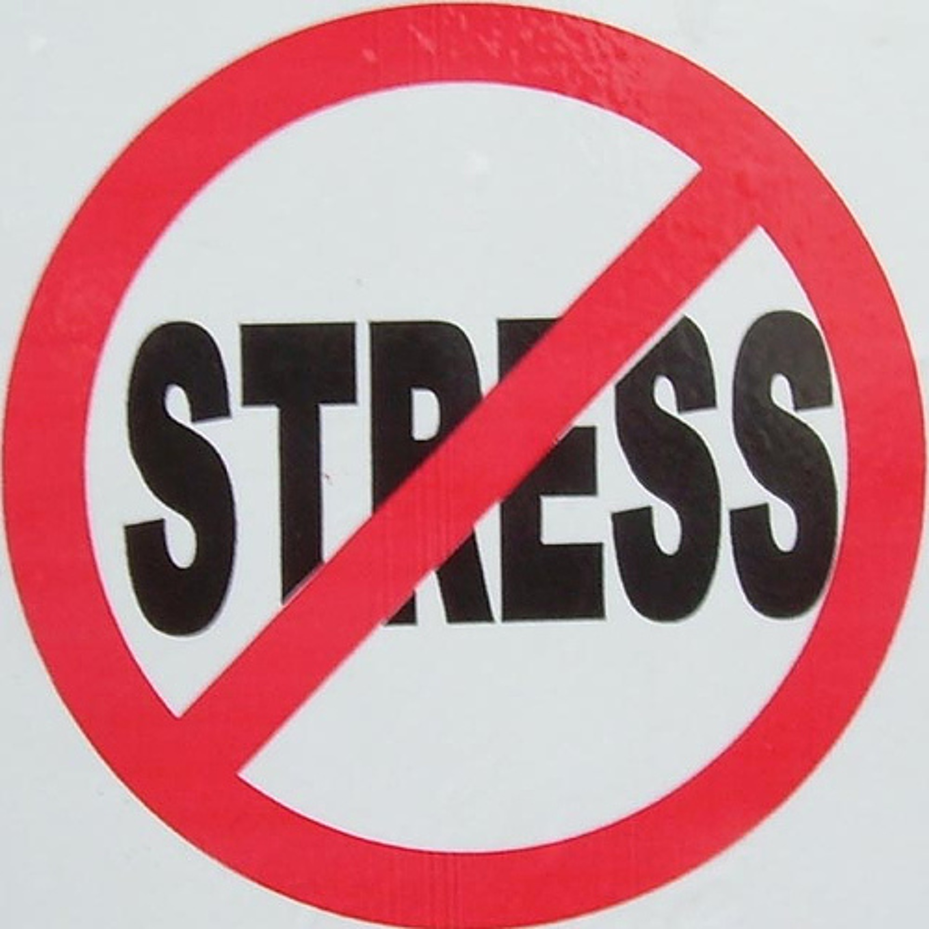 No Stress Today (Original Mix) episode artwork