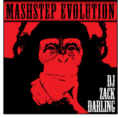 The Mashstep Evolution