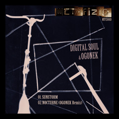 MTFZ008D DIGITAL SOUL - Sunstorm (2011)