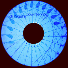 Dr Nigel - Amorphous