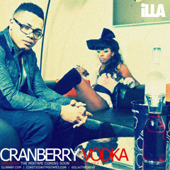 iLLA - Cranberry Vodka