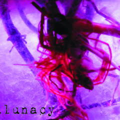 alunacy - behind