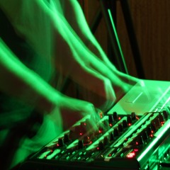 Solo: no-input digital feedback (live)