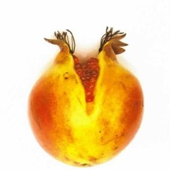 Protistas - Como una granada abierta (live@llegandolosmonos)