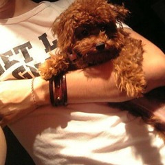 Yamashitaの音乐世界 - 活着Viva